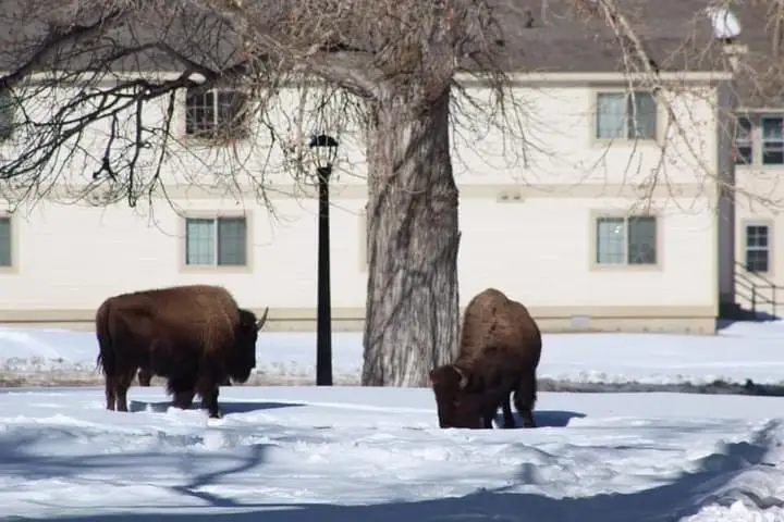 404E4575M12355AZ 3 Canteen Ln Yellowstone National Park WY 82190 USA Meridian Trust Federal Credit Union